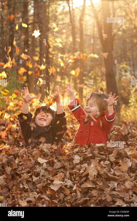 Little Kids Playing In Fall Leaves Stock Photo Alamy