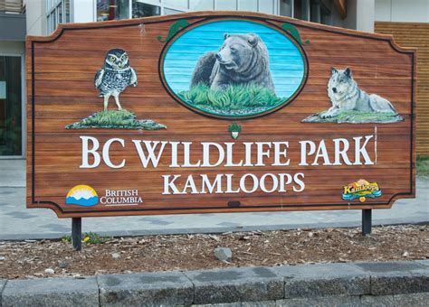 Could Be A Record Year For Visits At The Bc Wildlife Park Radio Nl Kamloops News