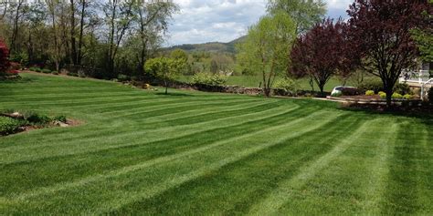 Mowing Lawn Service Earth Effects Landscapes Llc