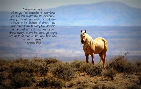 Discover and share quotes about being wild and free. Famous quotes about 'Wild Horses' - QuotationOf . COM