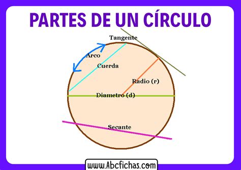 Estructura Y Partes Del Círculo Y De La Circunferencia