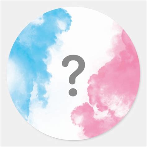 Question Mark Baby Gender Reveal Smoke Blue Pink Classic Round Sticker