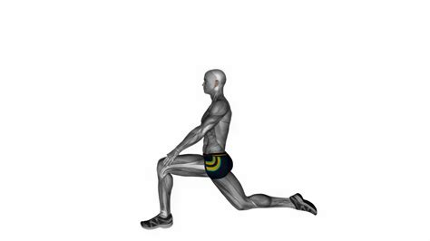 Kneeling Hip Flexor Stretch Fitness Exercise Workout Animation Video
