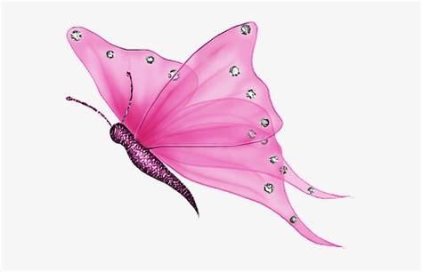 Pink Transparent Butterfly  Transparent Png 566x450 Free