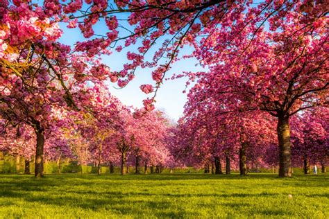 11 Reasons Why Spring Is The Best Season