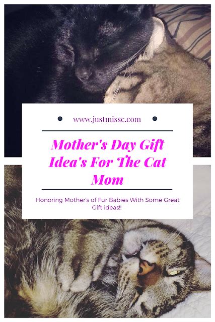 Mothers Day T Ideas For The Cat Mom Mother Days T Ideas