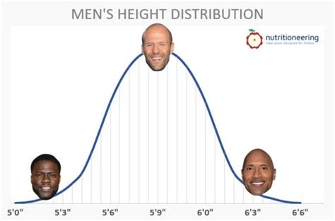 Jason Statham Height Weight Body Composition Nutritioneering