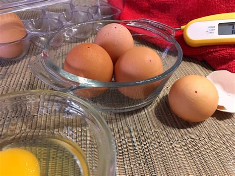 Bodybuilders have long subsisted on diets of egg whites in the belief that the yolks were bad. Pasteurizing Eggs • Easy Process when using Raw Eggs ...