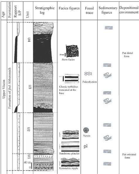 Lithostratigraphic Column Formation Jbel Abberonech All Successions Are
