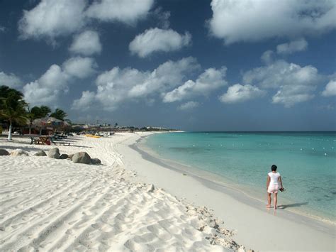 Eagle Beach Południowe Wybrzeże Aruby Aruba Największa Baza