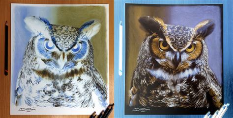 Owl Inverted Color Pencil Drawing By Atomiccircus On Deviantart