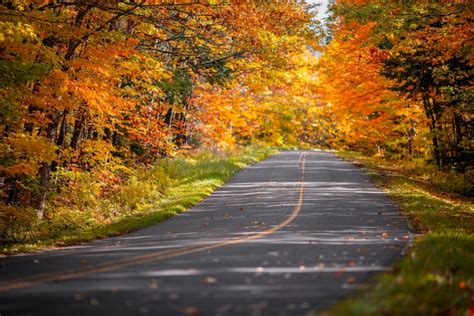 Looking For A Destination To Admire The Stunning Fall Foliage Rent