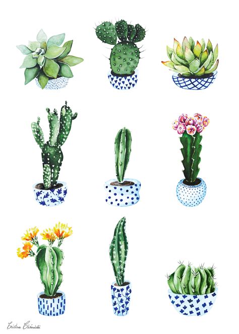 Cactus By Cristina Caramida Cactus Art Cactus Illustration Cactus