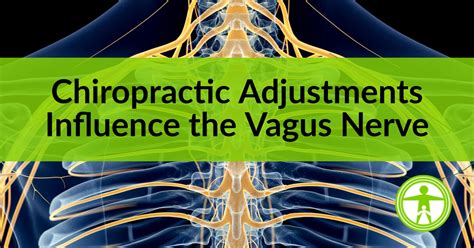 Chiropractic Adjustments Influence The Vagus Nerve