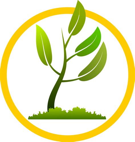 Small Plant Growing Png Tree Planting Logo Png Clipart Full Size My