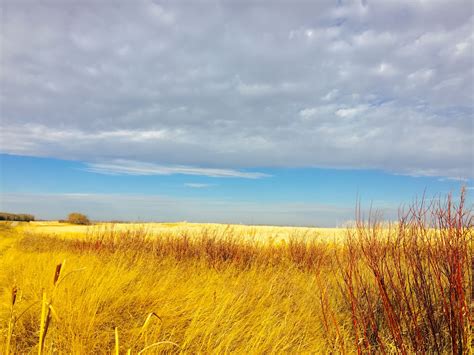 Love Saskatchewan prairies | Canada travel, Big sky country, Bigfork ...