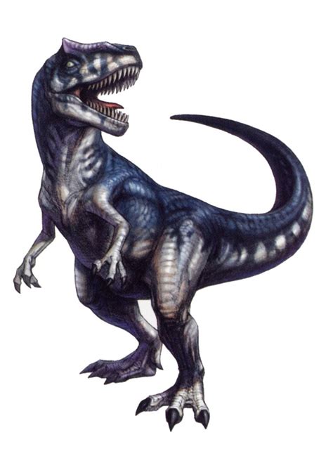 Allosaurus Pictures And Facts The Dinosaur Database