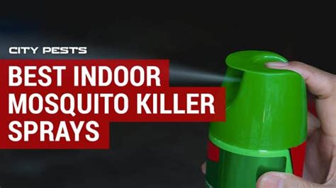 Best Indoor Mosquito Killer Sprays City Pests