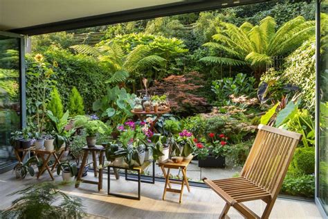 How A Dull London Patio Was Transformed Into A Leafy Tropical Retreat