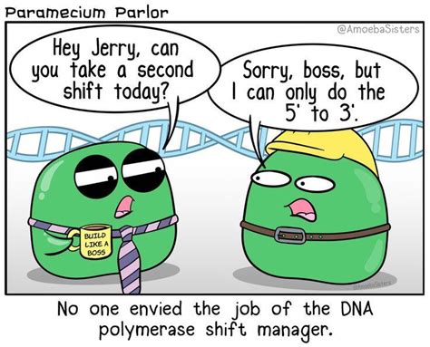 Dna Polymerase Shift Manager Biology Jokes Biology Humor Biology Memes