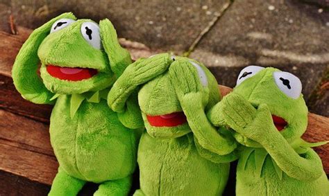 Die Besten 25 Kermit Der Frosch Zitate Ideen Auf