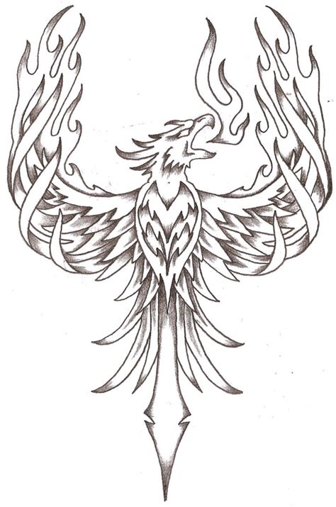 Phoenix Outline Drawing At Getdrawings Free Download