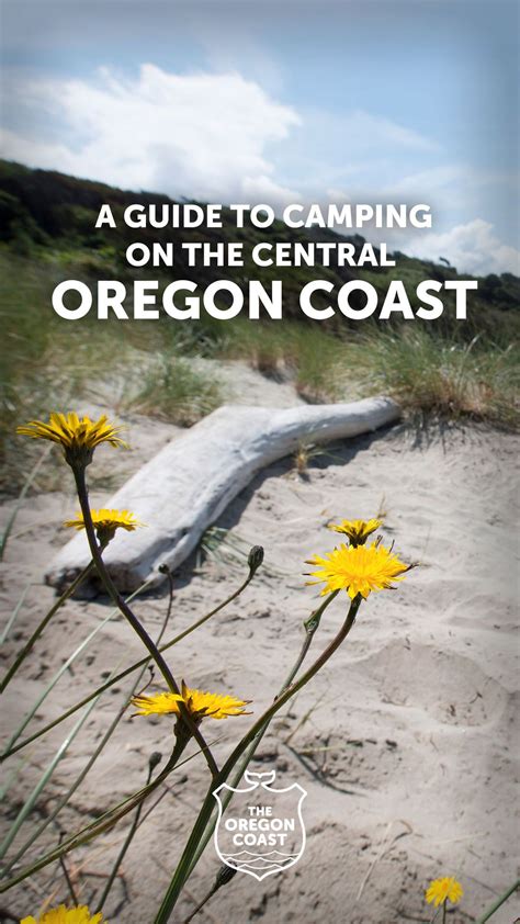 A Guide To Camping On The Central Oregon Coast Oregon Coast Visitors