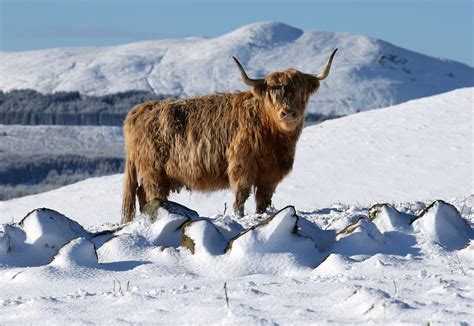 Warnings Remain As Fresh Snow Sweeps Across Scotland The Sunday Post