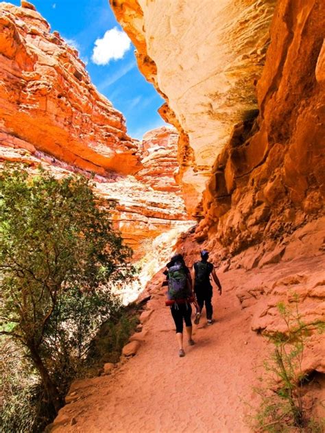 Hiking The Grand Canyon Lets Be Adventurers Pinterest