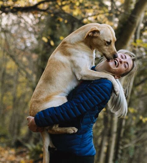 Use damp hands or rubber gloves: How To Get Rid Of Dog Hair On Clothes (Without Lint Roller)