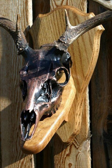 Custom Skull Coating Is The New Thing Deer Skull Art Deer Hunting