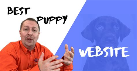Best Website to Sell Puppies Online | Troyer Websites