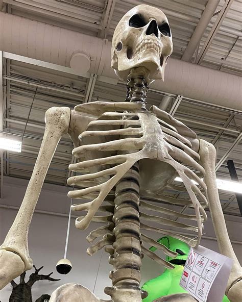 Terrifying 12 Foot Tall Giant Skeleton With Animated Lcd Eyes