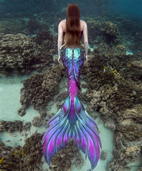 Gorgeous Silicone Finfolk Tail Diy Mermaid Tail Realistic Mermaid