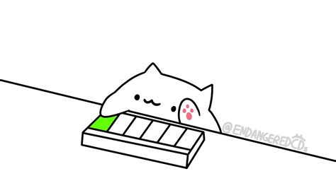 Bongo Cati Mean Keyboard Cat Youtube