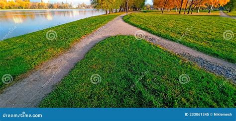 Two Trails Merge Into One Leading Along The Lake Shore In The Park In