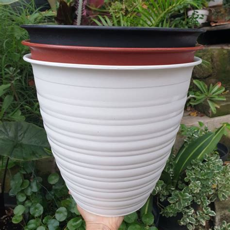 Jual Pot Tawon Pirus Pot Bunga Model Tawon Pirus Tirus Tinggi Ukuran Cm Bagus Tebal Murah