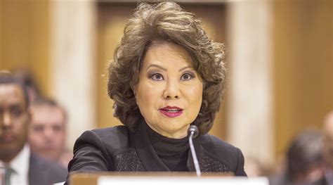 Chao, who began his career as a merchant mariner and in 1964 founded a shipping company in new york city. Sec. Elaine Chao Stands Behind $1.5 Trillion ...