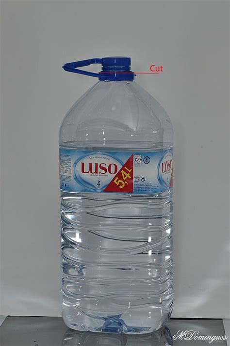Water fungi available here are packed with nutrients and minerals because they are cultured with tender care and avoid the usage of any kind of chemicals. Easily! Protect your lenses from Haze & Fungus!!! in 2020 ...