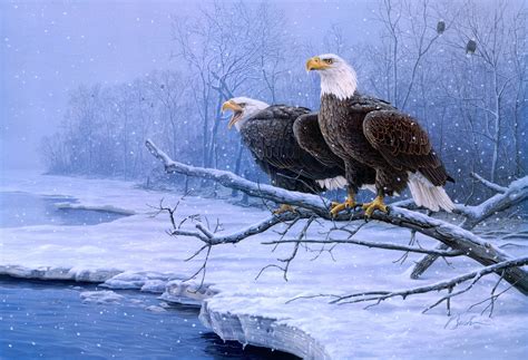 Bald Eagle Hd Wallpaper Background Image 2680x1830 Id361508