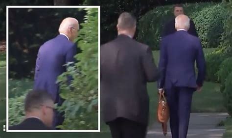 Joe Biden Got Lost In Bushes While Walking Into White House Video