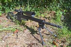 338 Lapua Magnum Semi Automatic