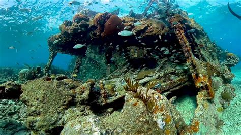 Florida Keys Underwater In 360 Degrees Youtube