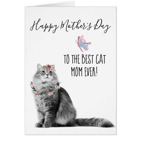 Mothers Day From The Cat Cat Bvc