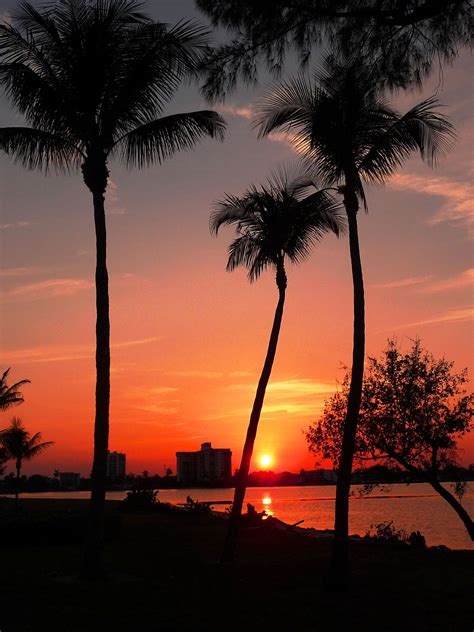 Palm Trees And Sunset Landscape Photography Sunset Landscape