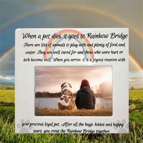 Why Do They Say Dogs Cross The Rainbow Bridge