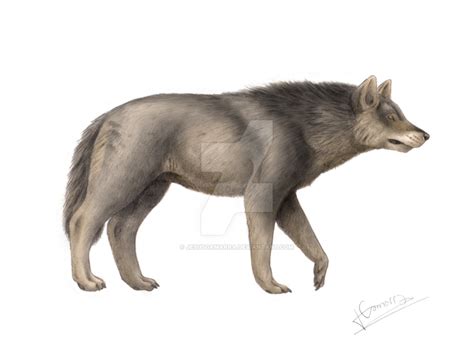 Canis dirus (dire wolf) temporal range: Ciencia de tronos II - Nymeria - Naukas