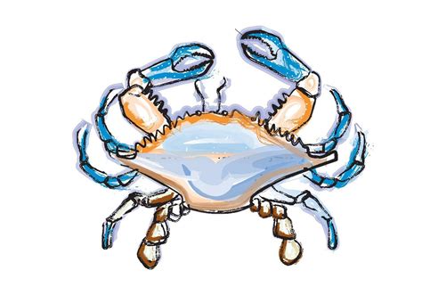 Blue Crab Download Free Vector Art Stock Graphics And Images