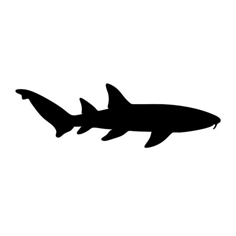 Blacktip Shark Carcharhinus Limbatus Dimensions And Drawings