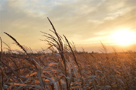 Sunset Midwest Landscape · Free photo on Pixabay